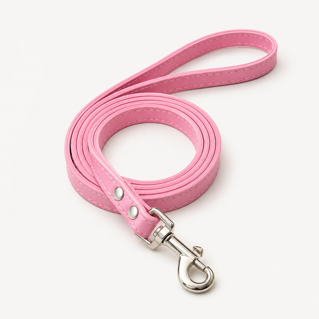 Laisse en cuir pour chien noire
