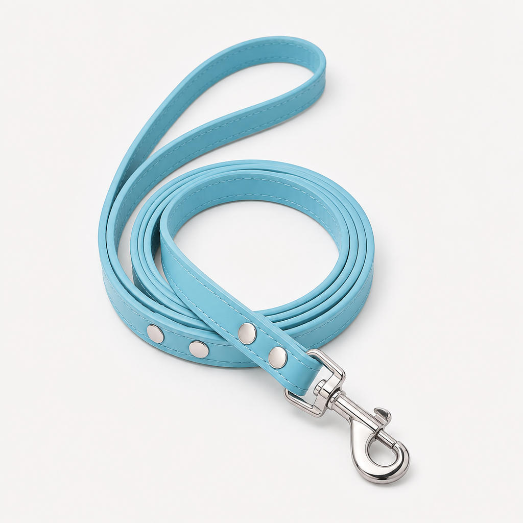 Laisse en cuir pour chien bleu clair
