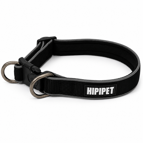 Collier pour chien bleu