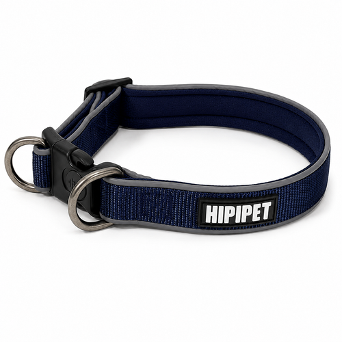Collier pour chien gris