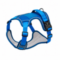 Détail du harnais bleu du pack