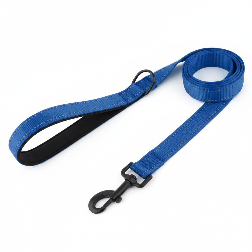 Laisse pour chien bleue