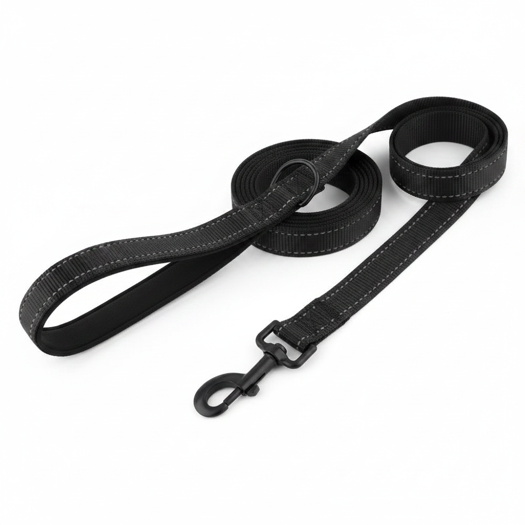 Laisse pour chien noire